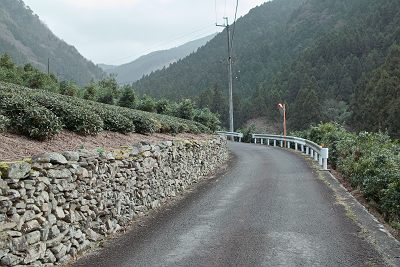 IMG00503.jpg
