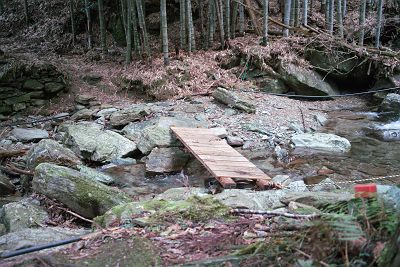 IMG00537.jpg