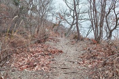 IMG00520.jpg