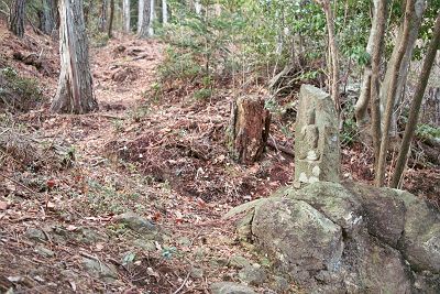 IMG00530.jpg