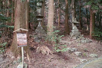 IMG00537.jpg