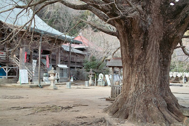 IMG00530.jpg