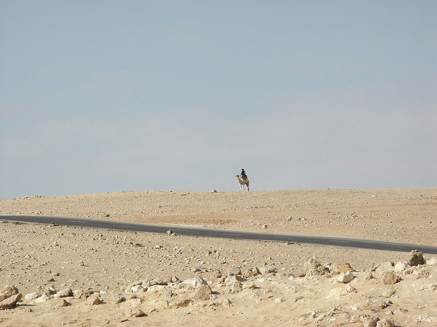 PICT0089-s.JPG