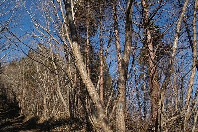 IMG00363.jpg