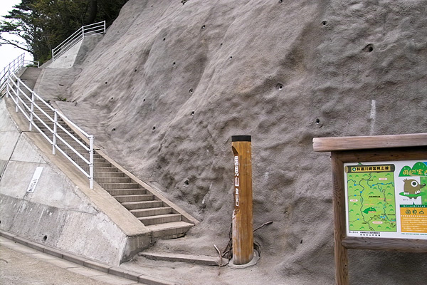 IMG00353.jpg