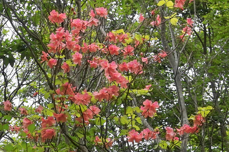 IMG00359.jpg