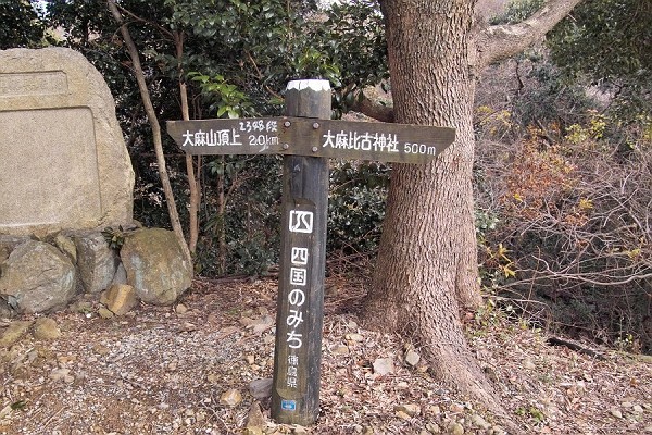 IMG00459.jpg