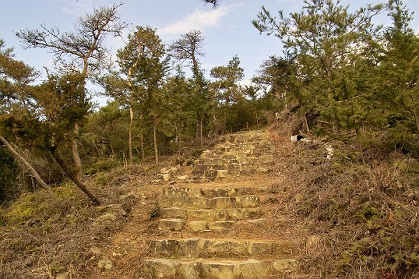 IMG00461.jpg