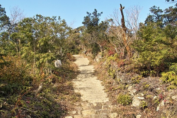 IMG00465.jpg