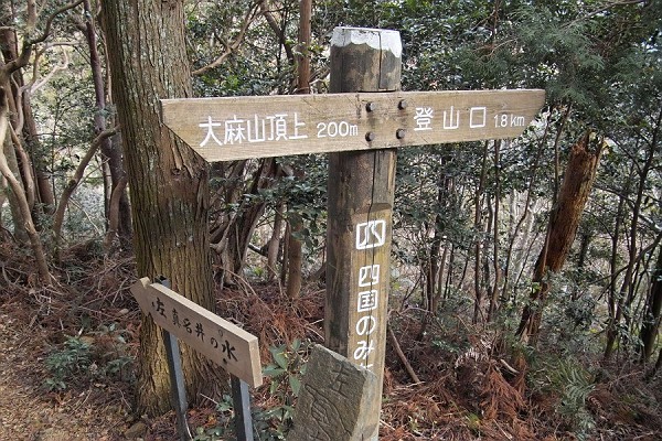 IMG00481.jpg