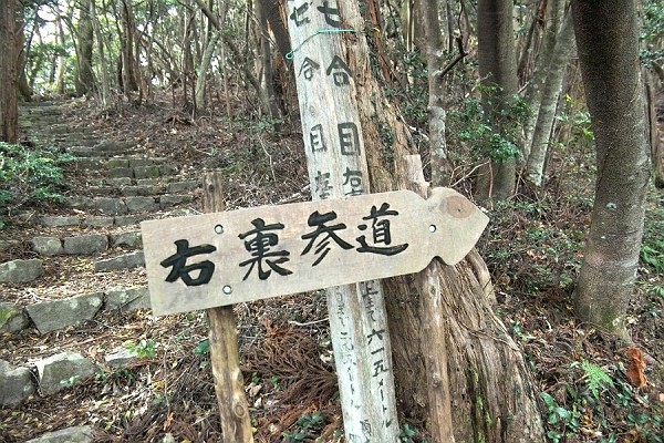 IMG00482.jpg