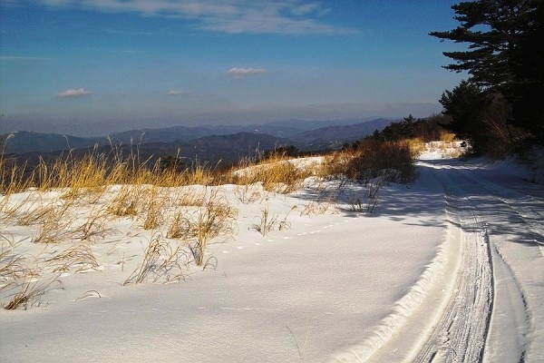 IMG00520.jpg