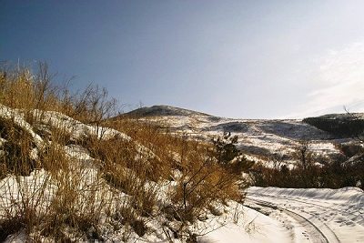 IMG00537.jpg