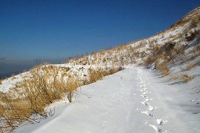 IMG00573.jpg
